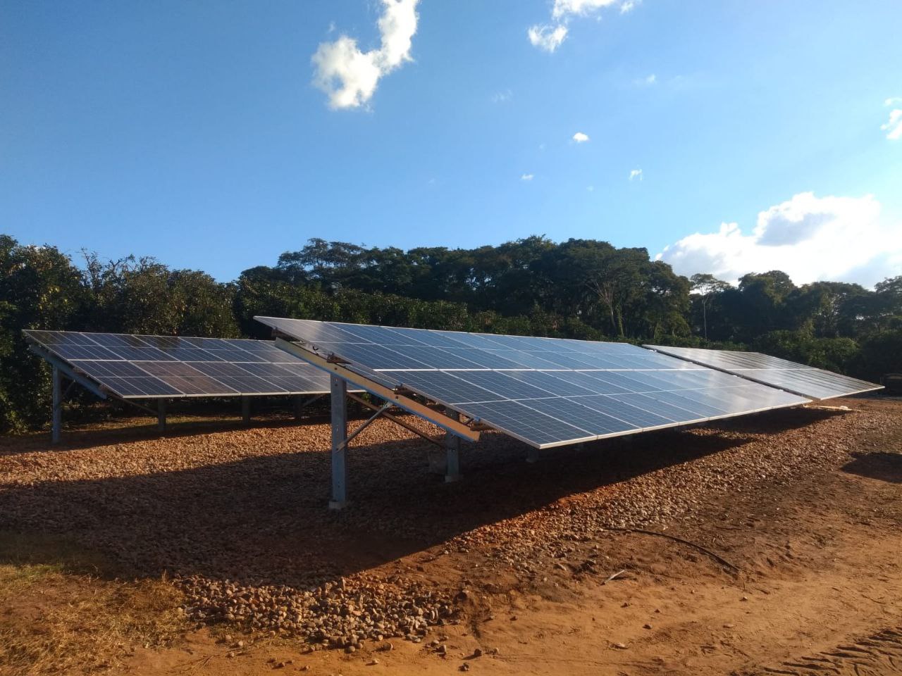 Agronegócio – Produção Laranja